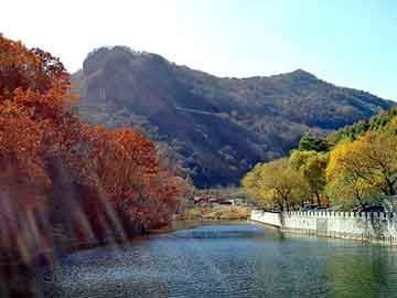 澳门精准一肖一码一一中，四川海峡钓鱼网